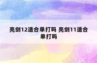 亮剑12适合单打吗 亮剑11适合单打吗